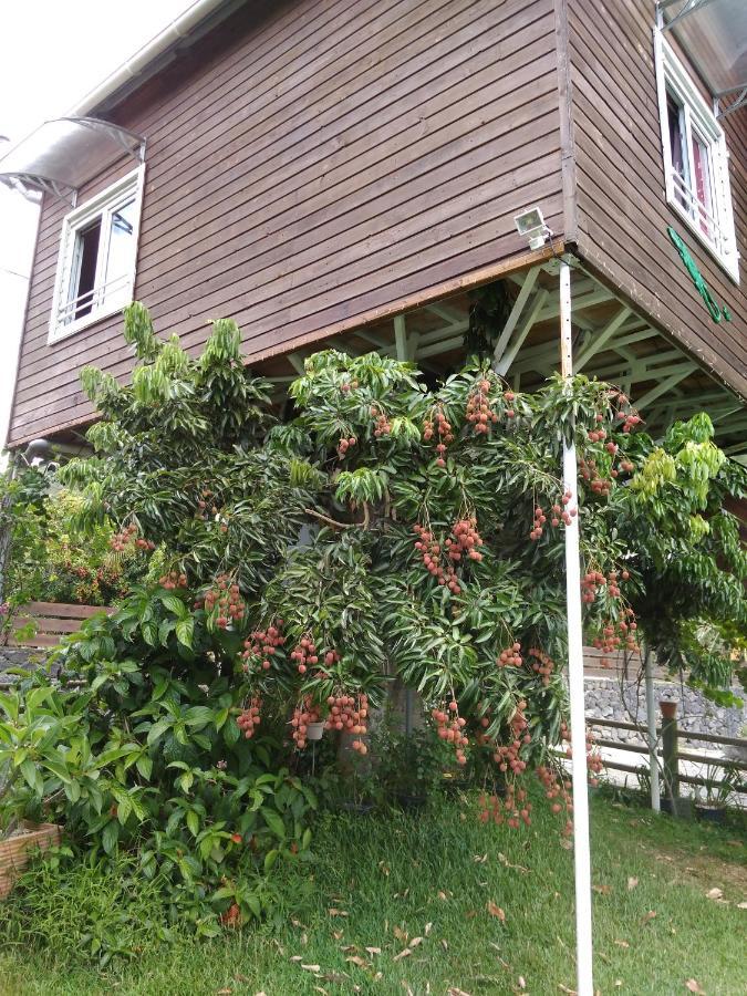 Ti Kaz Perchee Villa Entre-Deux Exterior photo